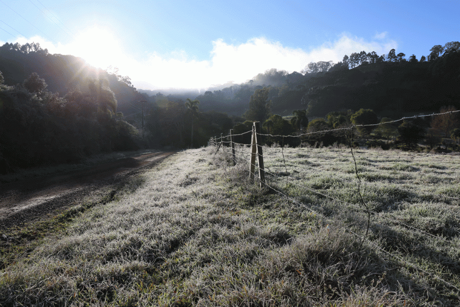 Delicia de inverno em garibaldi