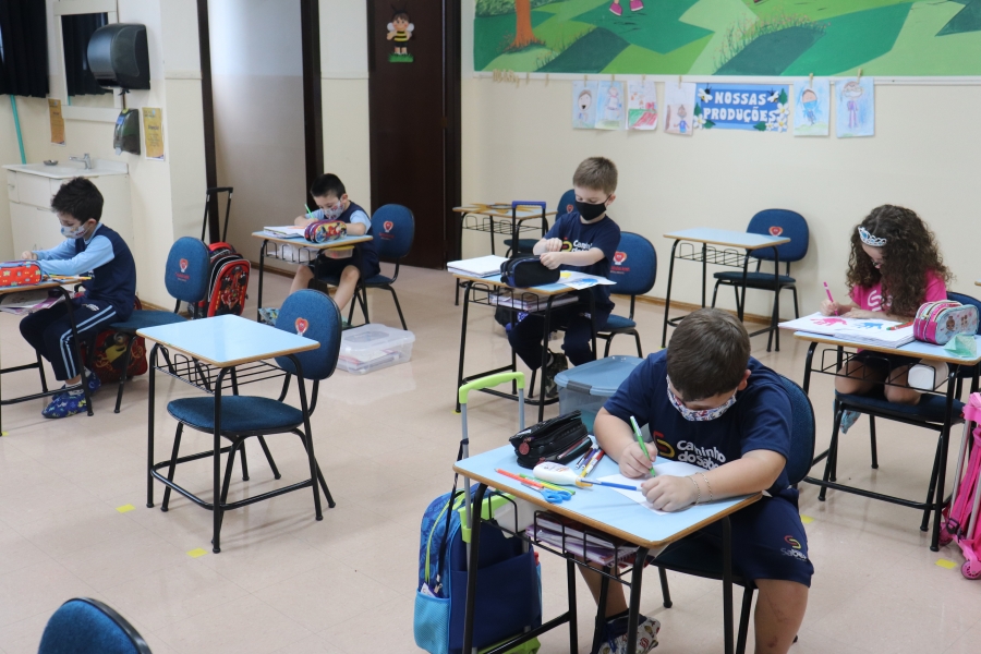 "Nosso processo de ensino-aprendizagem ser ainda melhor, pois foi aperfeioado nesta pandemia e ganhar foras com o incremento de recursos tecnolgicos" (Maristela Chiappin)