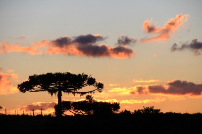 Cores, Cantos e Sabores do Pampa