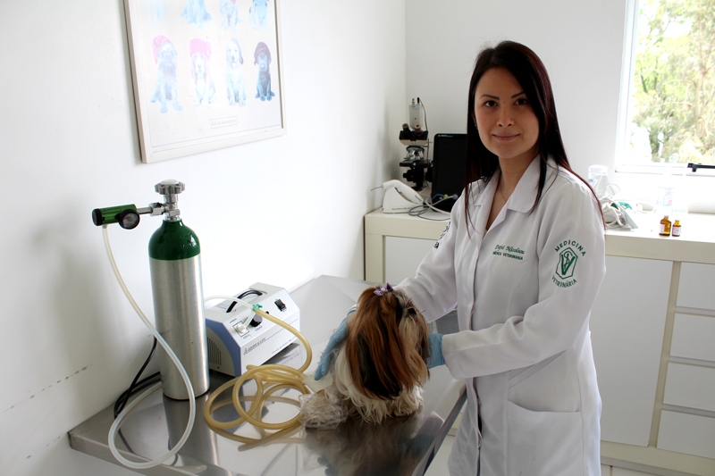 Ozonioterapia no Tratamento Veterinrio