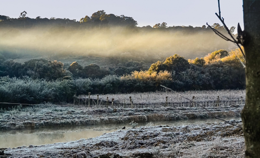 O bucolismo se estende por toda a Serra Gacha, mas nos bastidores, Poder Pblico e inciativa privada traam planos para reerguer o comrcio local e o turismo (Foto: Ricardo Zeni Moreno)